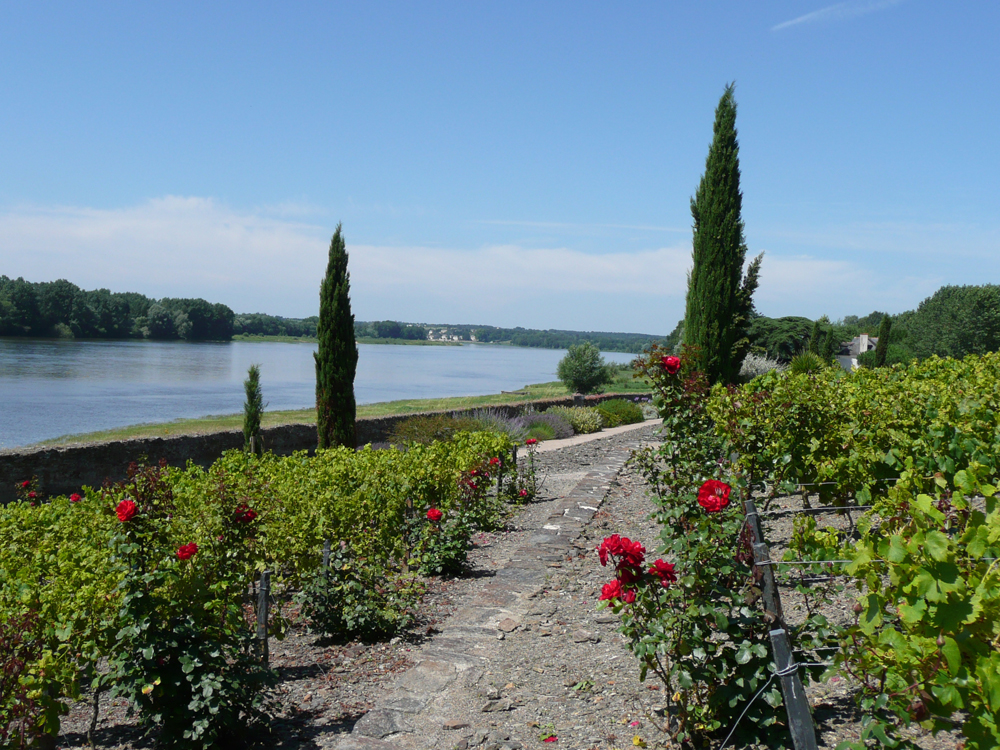 Sainte-Gemmes-sur-Loire